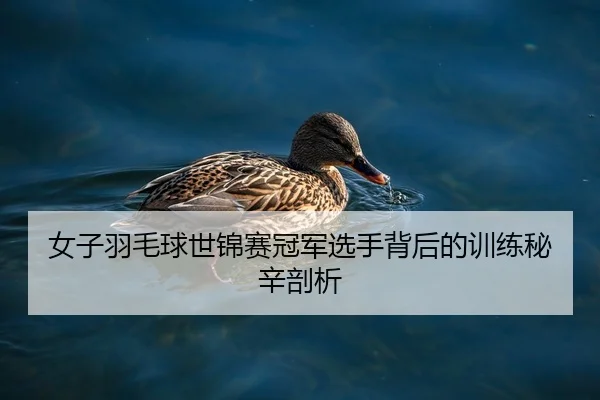 女子羽毛球世锦赛冠军选手背后的训练秘辛剖析